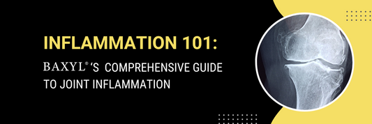 Inflammation 101: Comprehensive Guide to Joint Inflammation