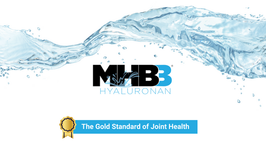 Discover MHB3® - The Gold Standard of Hyaluronic Acid for Joints