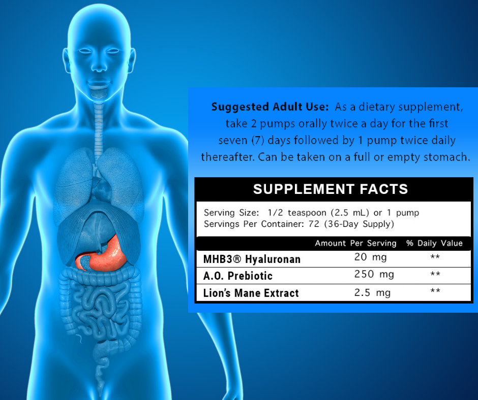 BAXYL® GI - Gut & Digestive Support